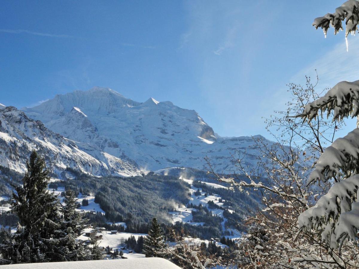 Apartment Rustica By Interhome Wengen Zewnętrze zdjęcie